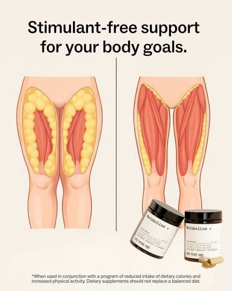 Ready For Your 2026 Reset?