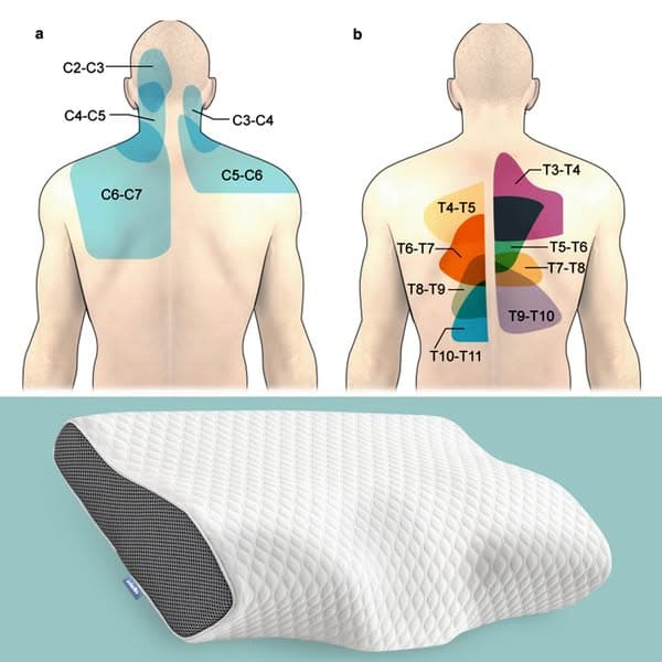 Zaspávajte Rýchlejšie, Zostaňte Spať Dlhšie