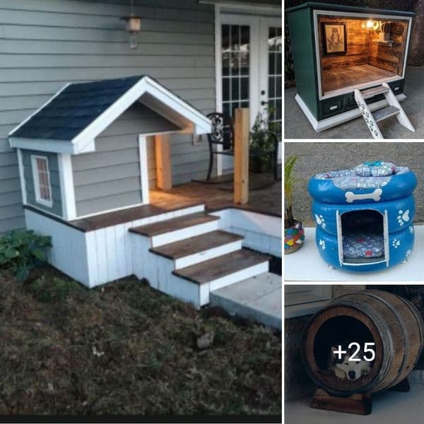 40 Dog Houses That Redefine Canine Comfort and Style