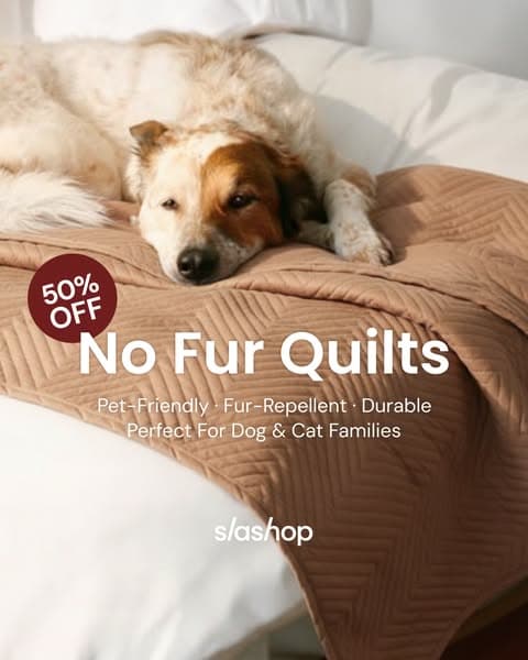 🔥Grab 50% Off Now👉