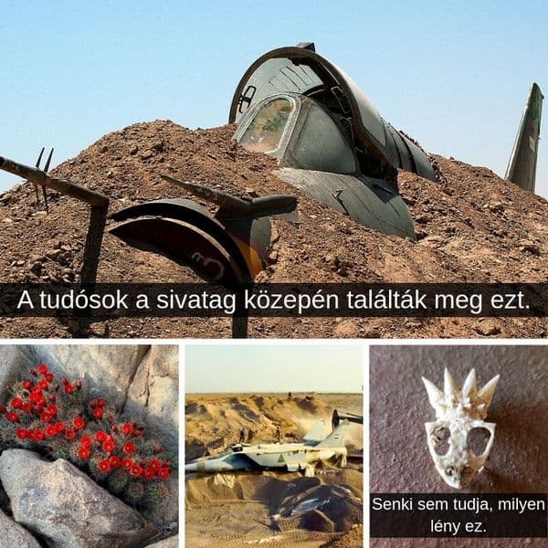 Több, mint 35 hátborzongató dolog, amit régészek találtak a sivatagban.