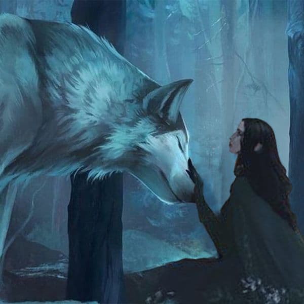 Click to read more "The Perfect Luna"