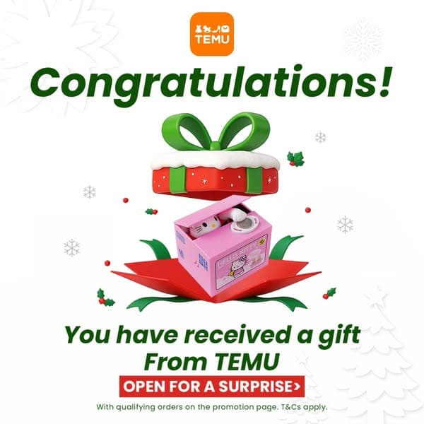 TEMU’s office sale is on