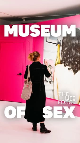 Now on View