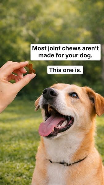 Your Dog Isn’t Generic. Their Joint Care Shouldn’t Be Either.