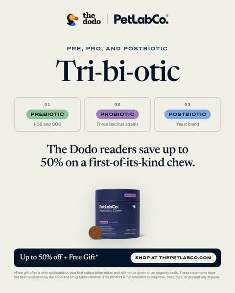 Pre, Pro And Postbiotic In One