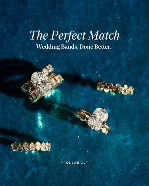 Find Your Perfect Match
