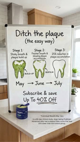 Fix The Bacteria. Fix The Plaque.