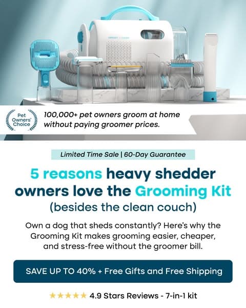 Struggling with Pet hair? Not for long!