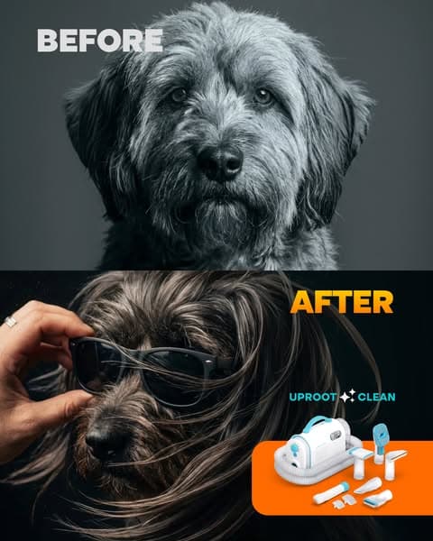 Struggling with Pet hair? Not for long!