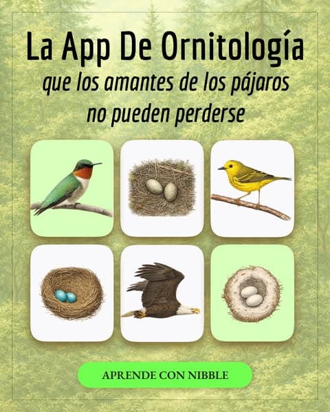 🔬 ¡Biología en pequeños fragmentos!