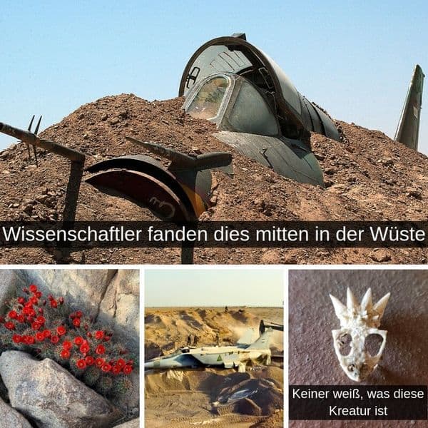 35+ Seltsame Dinge, die Archäologen in der Wüste fanden