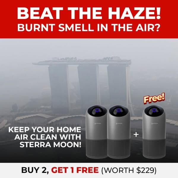Haze Is Back. Protect Your Indoor Air.