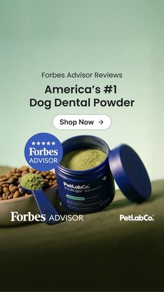 Why Over 1 Million Dog Owners Switched To ProBright Advanced