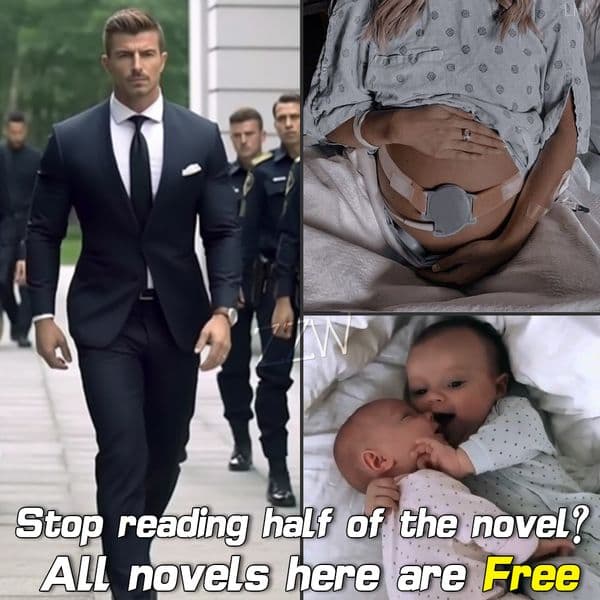 📚📚Title"Night of Destiny"