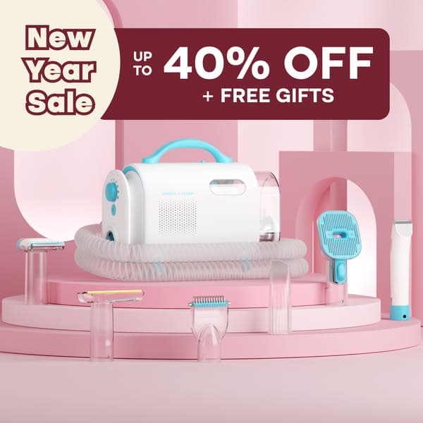 NEW YEAR SALE - Up to 40% Off + Free Gifts!✨