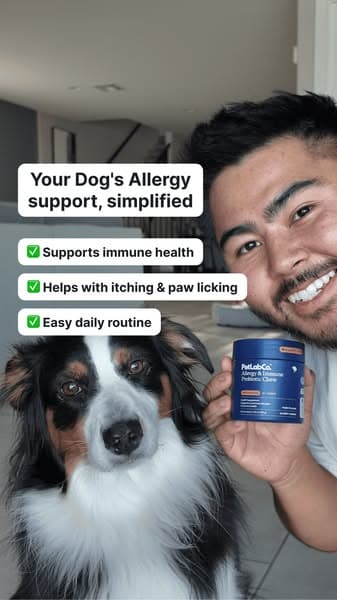 Allergy Support, Made Simple