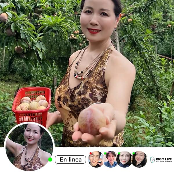 Anda tidak akan pernah bosan