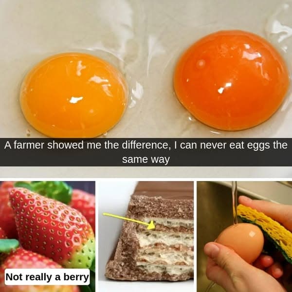 30+ Important Food Facts Most People Have Never Heard