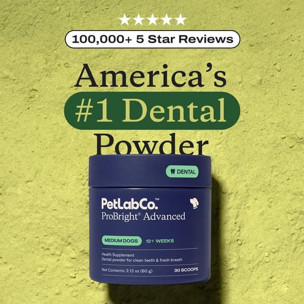 Get up to 40% OFF + FREE Gift today 👉