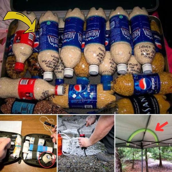 25+ Useful Road Trip Hacks For a Comfy Journey