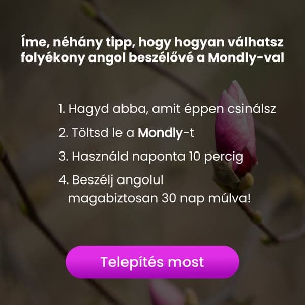 Tanulj meg idén angolul
