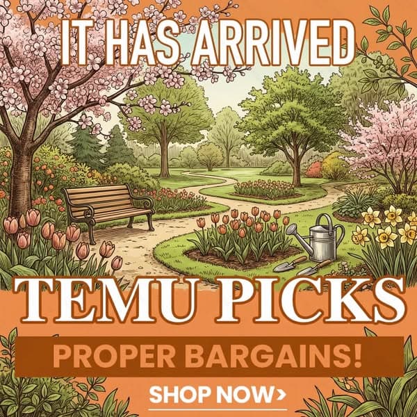 Come and Shop on Temu