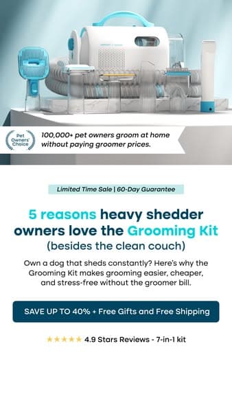 Struggling with Pet hair? Not for long!