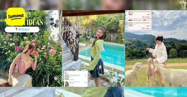 Lemon8 - Lifestyle Community