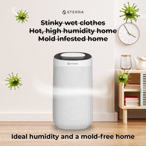 Control Humidity for a Healthier Home