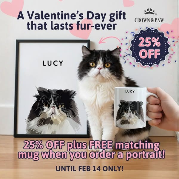 Limited-Time Valentine’s Offer: 25% Off + Freebie ♥️