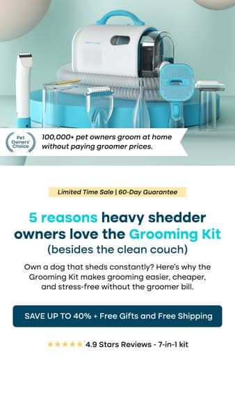 Struggling with Pet hair? Not for long!