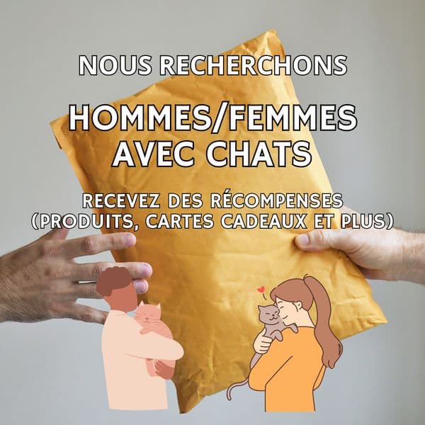 Recherché : Hommes/Femmes avec chats !