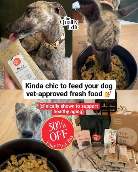 50% Off Your Dog's First Box