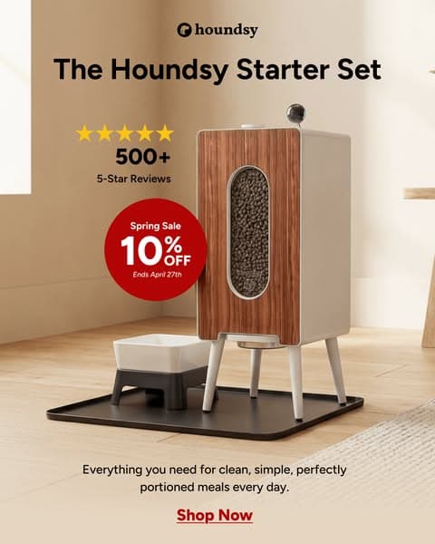 Spring Sale: 10% Off with Code SPRING10