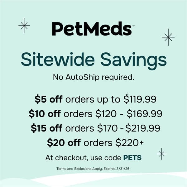 🎉 Buy More, Save More!