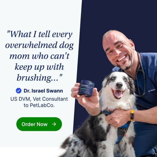 How Busy Moms Keep Their Dog's Teeth Clean in 5 Seconds a Day