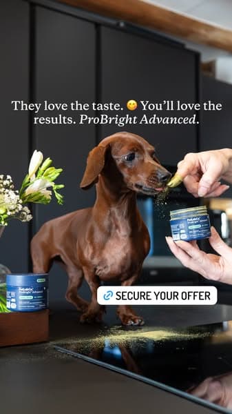 Cleaner Teeth, Fresher Kisses!