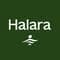 Halara Dress