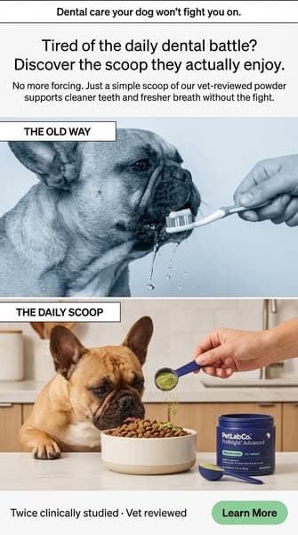 Keep their teeth clean WITHOUT a toothbrush!