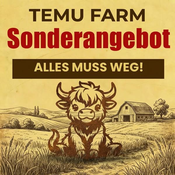 Tolle Angebote bei Temu
