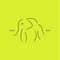 Drunk Elephant Skincare