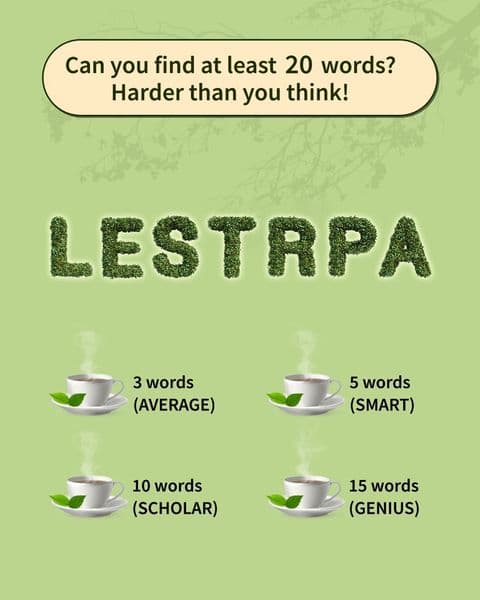 The Ultimate Calming Word Game