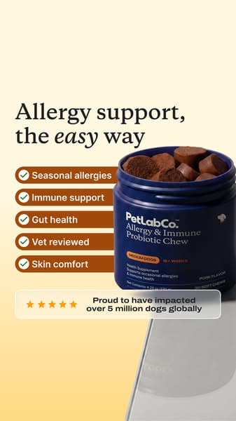 Itchy dog? Get up to 50% off today!