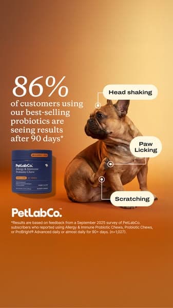 Just One Daily Chew To Support Your Dog