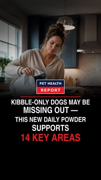 Why This New Dog Powder Has Gone Viral
