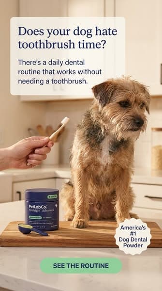 Keep their teeth clean WITHOUT a toothbrush!