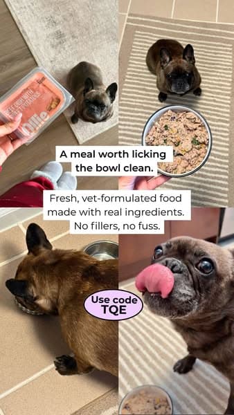 100% Human-Grade Ingredients for Your Pup
