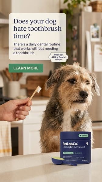 Keep their teeth clean WITHOUT a toothbrush!