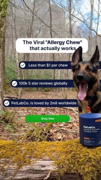 The daily chew that saved us this allergy season 🐶